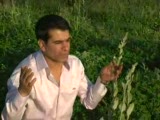 mehmet balaman arguvan'a gidemem