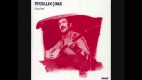 Feyzullah Çınar - Ağlaya Ağlaya Gezdim Yurtlari Feyzullah Çınar - Ağlaya Ağlaya Gezdim Yurtlari