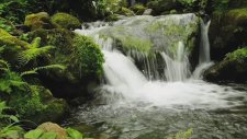 Oya-Bora-Ölüm Bizden Uzak Olsun