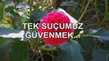 Tek Suçumuz Güvenmek...
