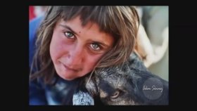 Nilüfer Akbal - Le Dotmam Nilüfer Akbal - Le Dotmam