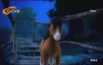 Doru Çizgi Filmi - Saklı Göl