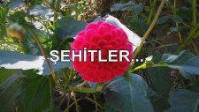 ŞEHİTLER...