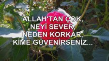 Allah'tan Çok Neyi Sever, Neden Korkar, Kime Güvenirseniz...