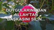 Duygularınızdan Allah'tan Başkasını Silin...