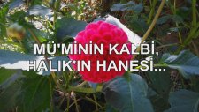 Mü'minin Kalbi, Halık'ın Hanesi...