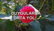Duygularda Orta Yol...