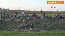 Adana'da Suriyeli Genç Tarlada İntihar Etti
