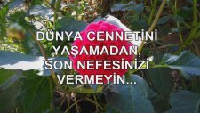 Dünya Cennetini Yaşamadan, Son Nefesinizi Vermeyin...