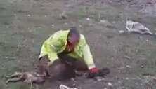 Pek Hayvan Sevmeyen Bir Hayvan Sever