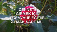 Cennete Girmek İçin Tasavvuf Eğitimi Almak Şart Mı...