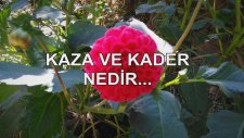 Kaza Ve Kader Nedir...