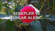Sebepler Ve Ruhlar Alemi...