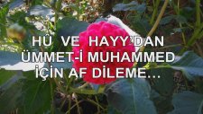 Hu Ve Hayy'dan Ümmeti Muhammed İçin Af Dileme...