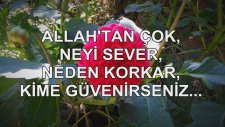 Allah'tan Çok Neyi Sever, Neden Korkar, Kime Güvenirseniz...