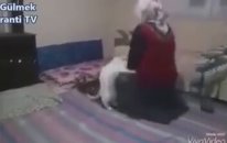 Ateist Kedi Kadına Namaz Kıldırmıyor