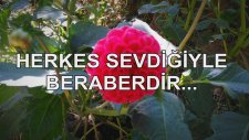 Herkes Sevdiğiyle Beraberdir...