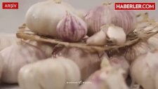 Siyah Sarımsağın Bilinmeyen Faydaları