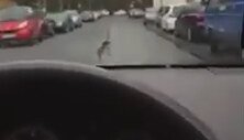 Almanya'da Tofaş Kartal Gören Gurbetçinin Sevinci