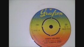 Aşık Mahzuni Şerif - Giden Gelmez. Aşık Mahzuni Şerif - Giden Gelmez.
