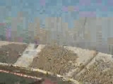 Fenerbahçe Taraftar Şov Şahin İzmir
