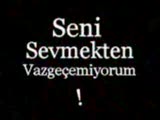 Ver Elini