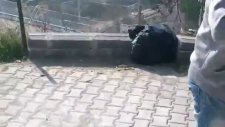 Arkadaş Gazıyla Kavga Etmek