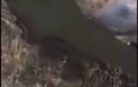 Sınırda Mülteci Avlamaca Oynayan Bulgar Manyak!