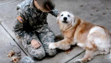 Dostunun Askerden Gelmesiyle Ağlamaya Başlayan Duygusal Köpek