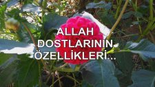 Allah Dostlarının Özellikleri...