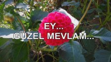 Ey... Güzel Mevlam...