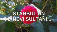 İstanbul'un Manevi Sultanı...