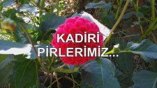 Kadiri Pirlerimiz...