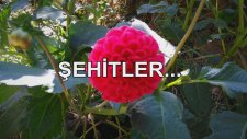 Şehitler...