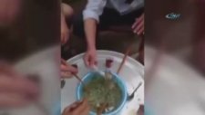 Balıkları Canlı Canlı Yediler