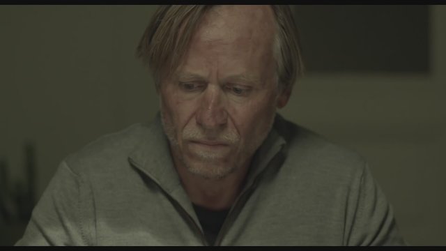 Rodinny Film (2015) Fragman