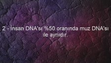 Gerçek Olduğuna İnanamayacağınız 10 İlginç Bilgi