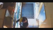 Piton Yılanını Çalıp Pantolonunun İçine Koyan Hırsız