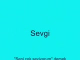 Gitme Kal Diyemedim