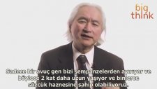 Zekanın Evrimi - Michio Kaku