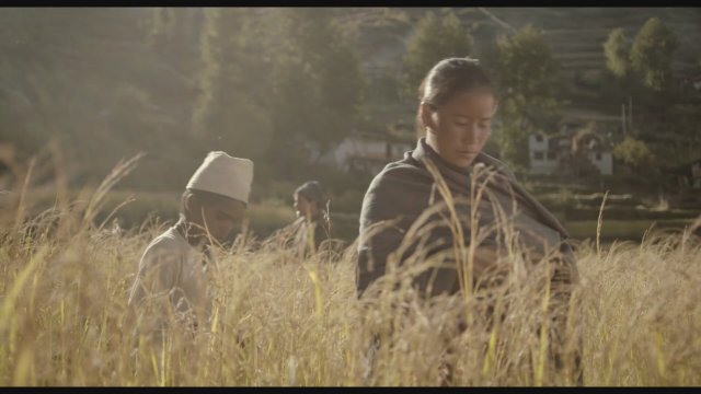 Kalo Pothi (2015) Fragman