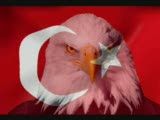 onurcan yeter sevgİlİm davaciyim albumunden