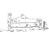 simon's cat02