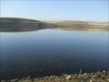 Turna Avı