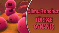 Slime Rancher : Türkçe Oynanış / Bölüm 15 - 200 Tane Slime , Tek Kafeste!