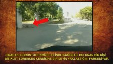 Görenleri Hayretler İçerisinde Bırakan 5 İnanılmaz Yaratık