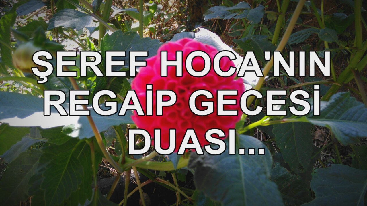 Regaip kandili nedir nasıl kutlanır Regaip kandili nedir nasıl kutlanır