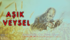 Aşık Veysel - Güzelliğin On Para Etmez Aşık Veysel - Güzelliğin On Para Etmez