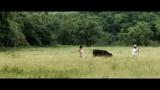Two Women and A Cow - İki Kadın ve İnek