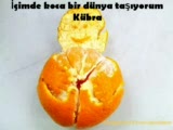 Sevdigim,hayatım,aşkım,imkansızım,ördegim,tahtam,